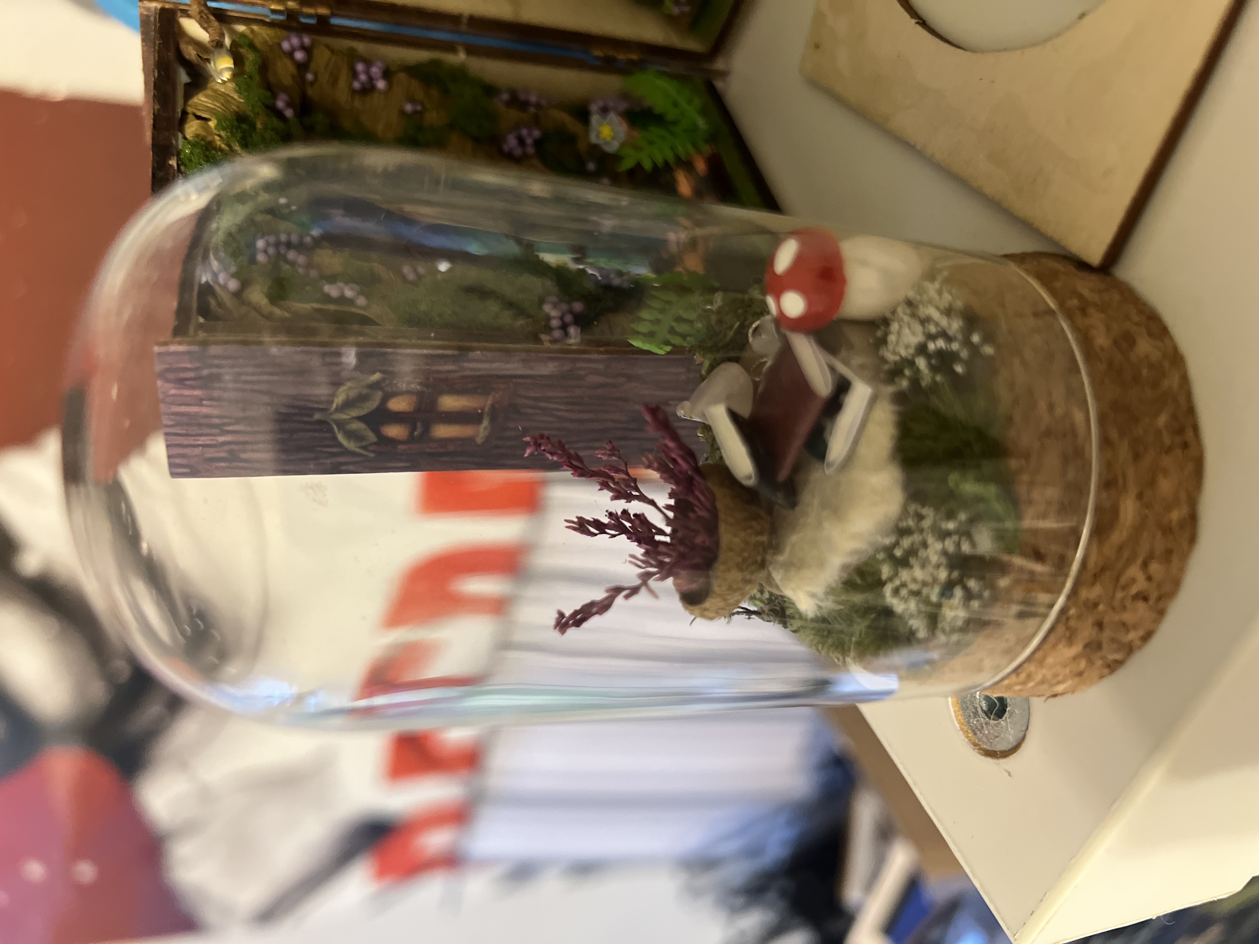 Handmade fairy library in a glass jar with tiny bookshelves, mushroom, and moss