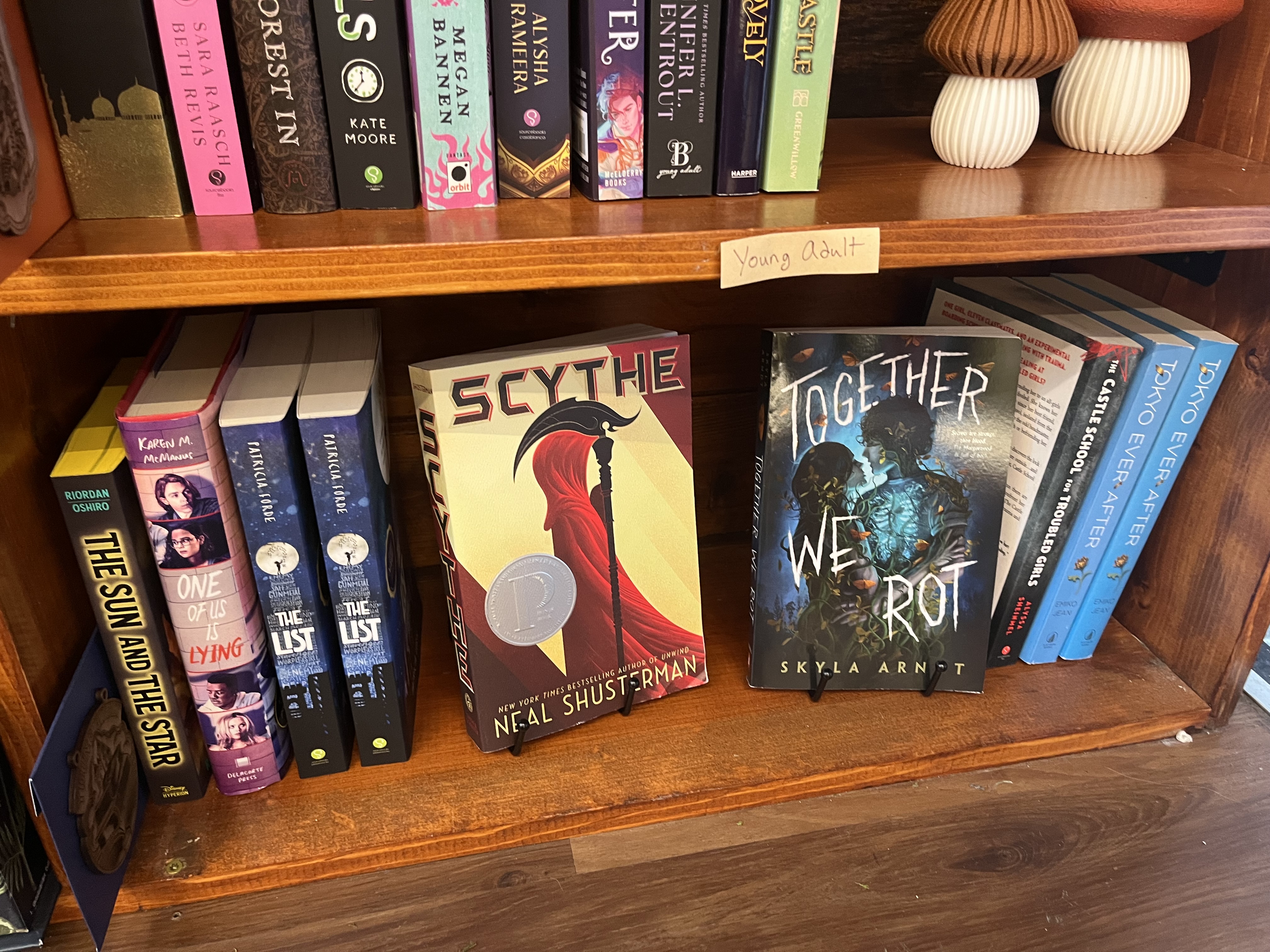 Curated selection of books on wooden shelves